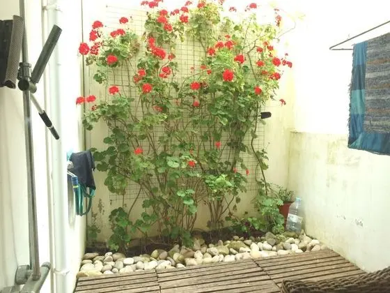 Villa, 1 Yatak Odası