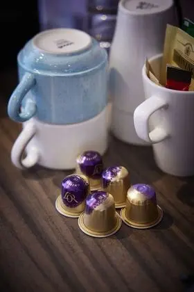 Superior İki Ayrı Yataklı Oda