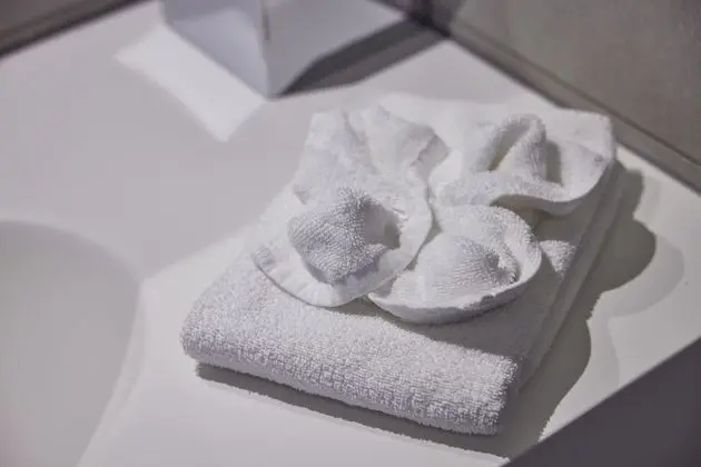 Superior İki Ayrı Yataklı Oda