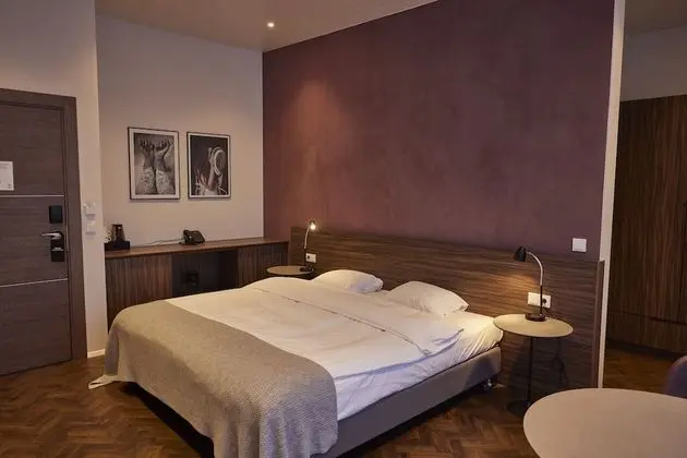 Superior Tek Büyük Yataklı Oda