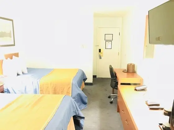 Tek Büyük Yataklı Oda, 2 Çift Kişilik Yatak, Sigara İçilmez