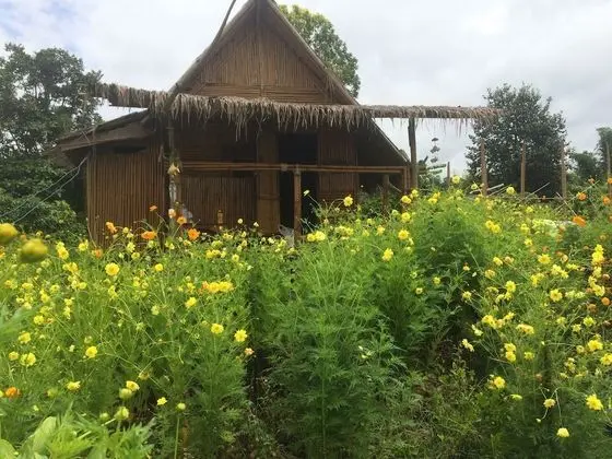 Bamboo Hut