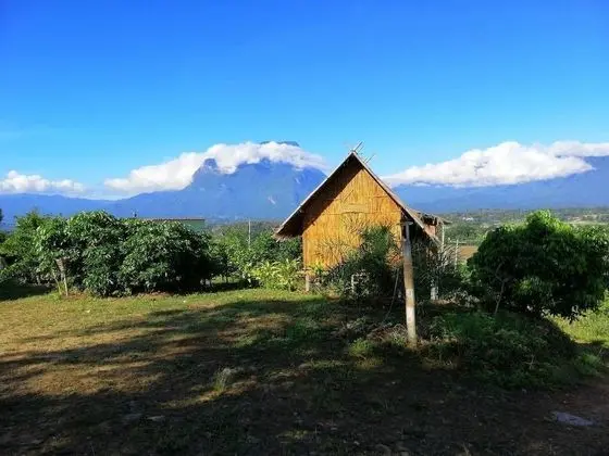 Bamboo Hut