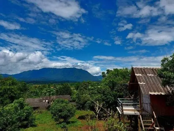 Bamboo Hut