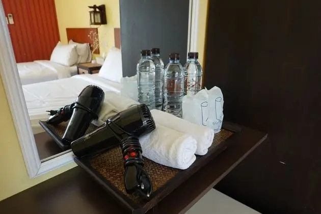Deluxe İki Ayrı Yataklı Oda