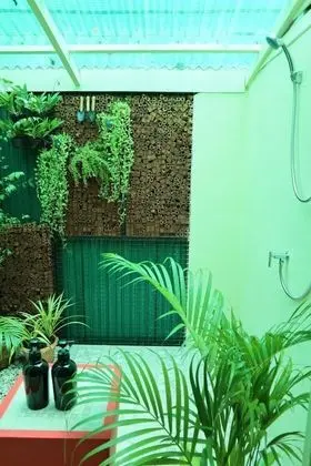 Single House