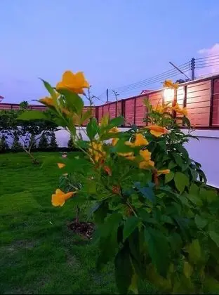 Standard  Villa with Garden View