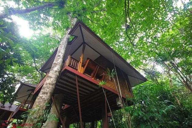 Tree House Deluxe Air-con