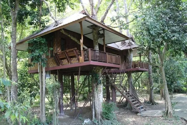 Tree House Deluxe Air-con