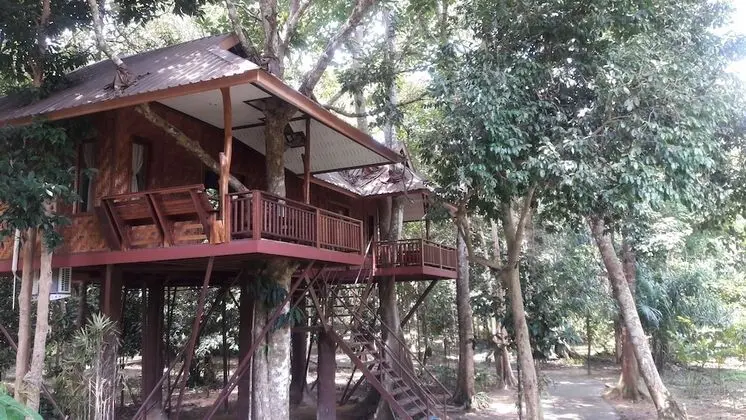 Tree House Deluxe Air-con
