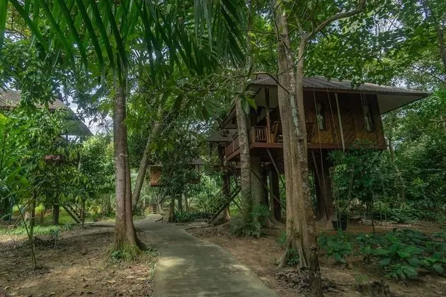 Tree House Deluxe Air-con