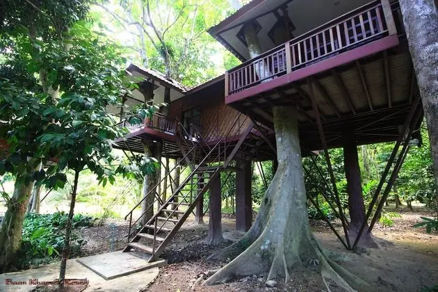 Tree House Deluxe Air-con