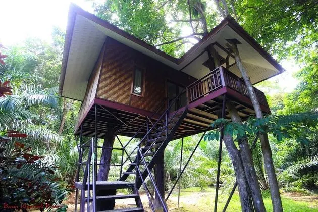 Tree House Deluxe Air-con