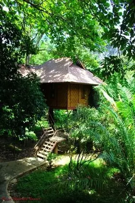 Tree House Deluxe Air-con