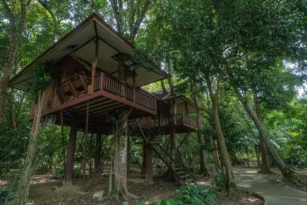Tree House Deluxe Air-con