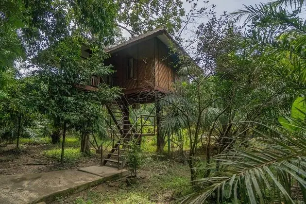 Tree House Deluxe Air-con
