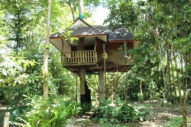 Tree House Fan