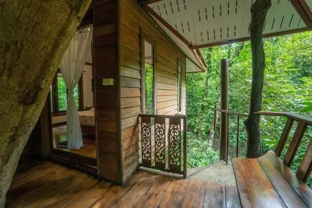 Tree House Fan