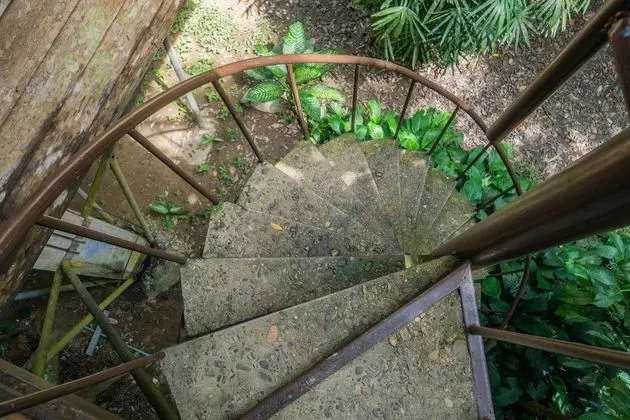 Tree House Fan