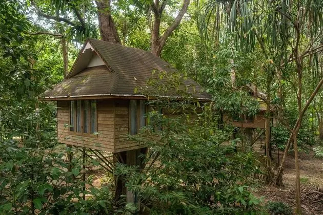 Tree House Fan