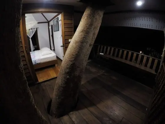 Tree House Fan