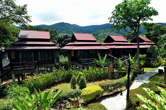 Deluxe Villa, Havuz Manzaralı