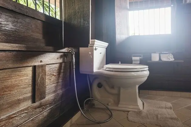Traditional Villa, 1 Yatak Odası