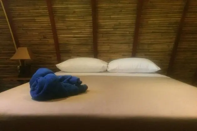 Bamboo Air-condition Room