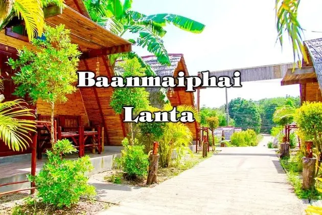 Bamboo Air-condition Room