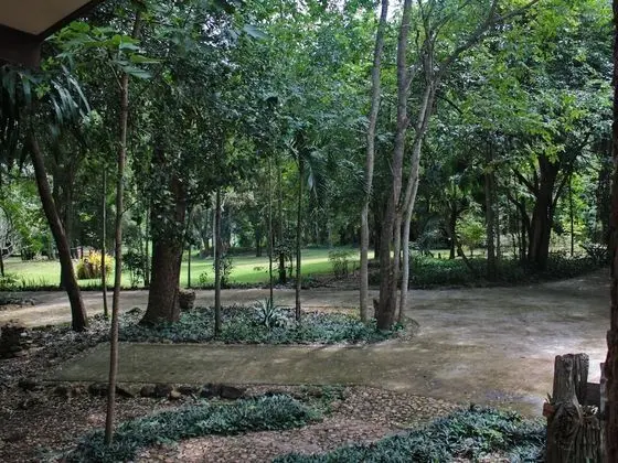 Traditional İki Ayrı Yataklı Oda