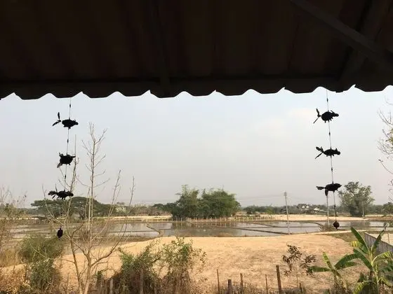 Family Villa (Baan Mali)