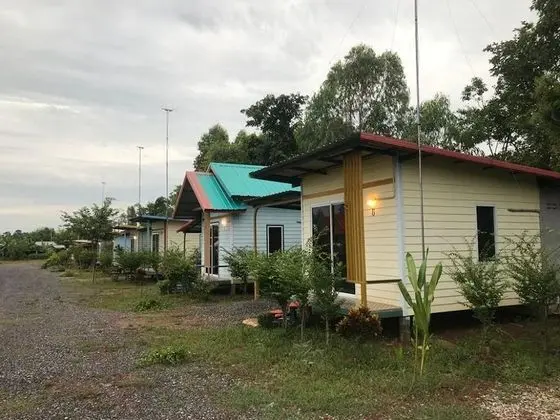 Standard Modern Style