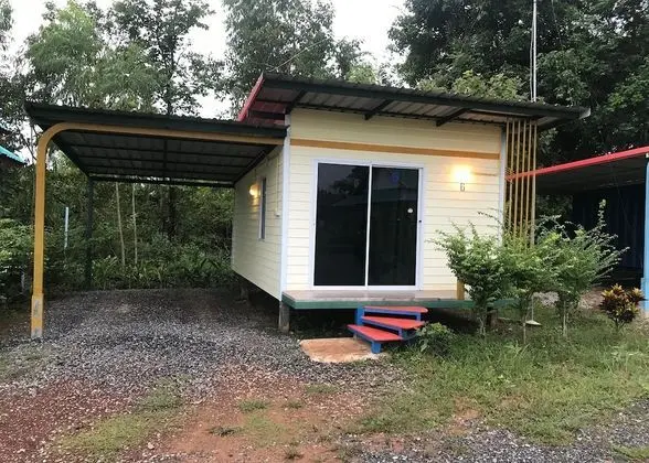Standard Modern Style