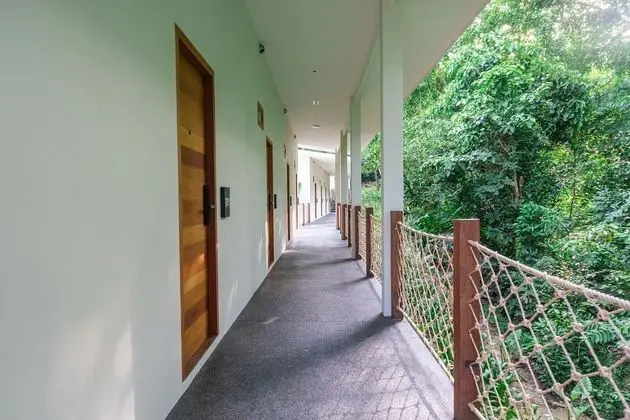 Jungle Deluxe