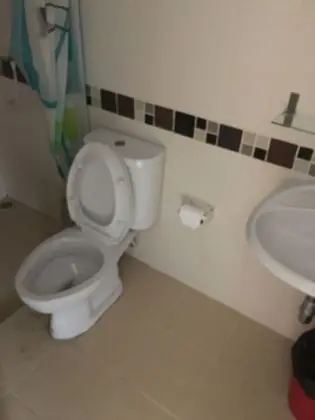 Standard Oda