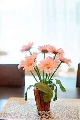 Apart Daire, 2 Yatak Odası (2 Bedrooms Apartment on 1st Floor)