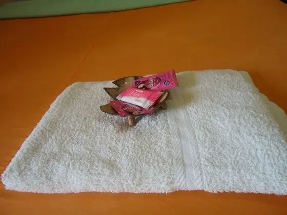 Standard Double Air-con Room