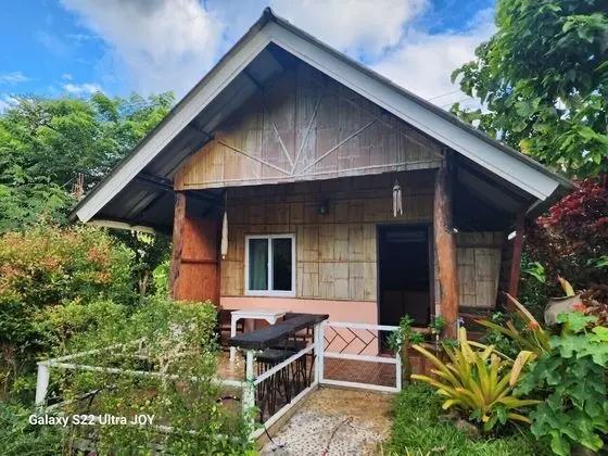 Bamboo Hut