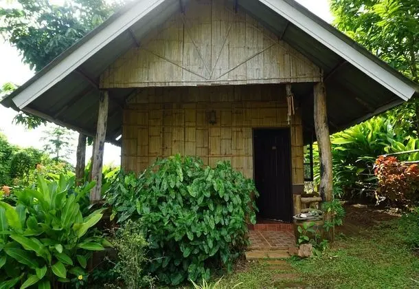 Bamboo Hut