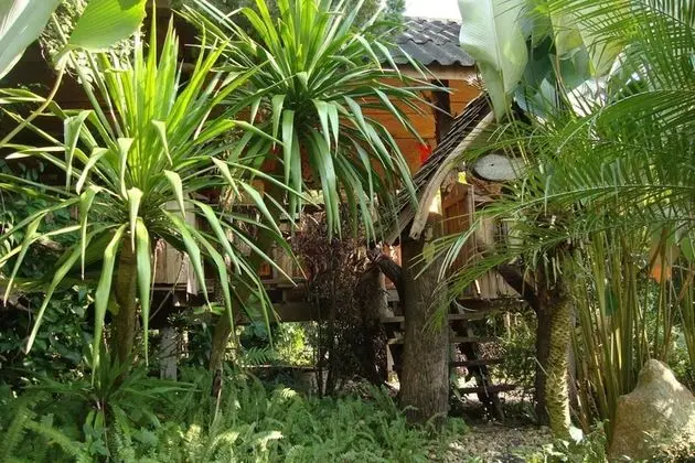 Standard Room with Garden View