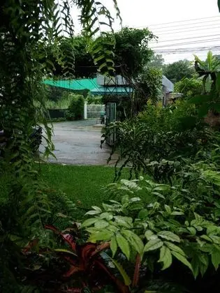Standard Bungalow - Papaya