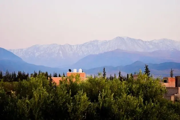 Tek Büyük Yataklı Oda (Majorelle)