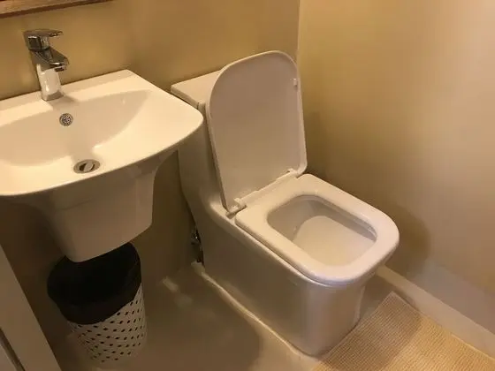 Standard Oda