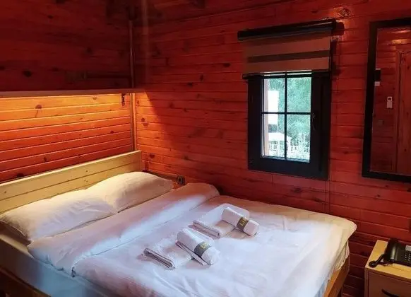 Kule Oda, Dağ veya Havuz Manzaralı, Klimalı