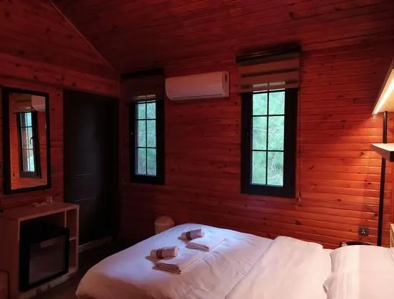 Standart Oda, Dağ veya Havuz Manzaralı, Klimalı