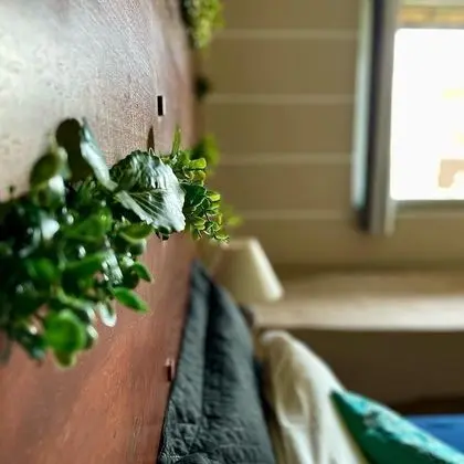 Deluxe Süit, 1 Yatak Odası