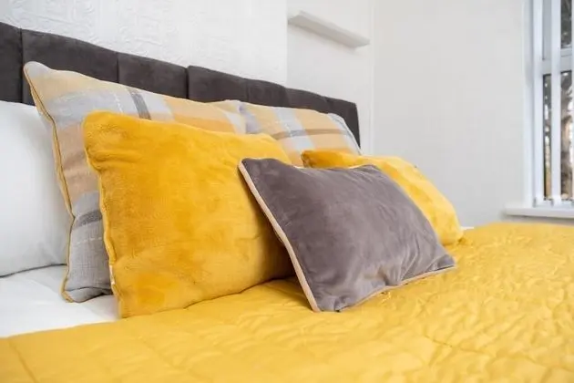 Comfort Ev