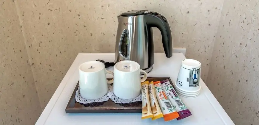 Tek Büyük Yataklı Oda (13)
