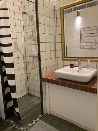 Basic Tek Büyük Yataklı Oda (9)