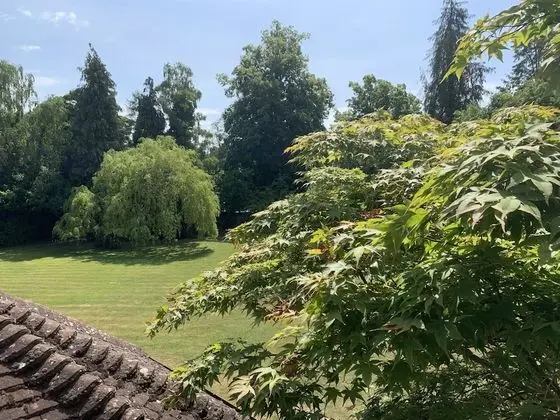 Tek Büyük Yataklı Oda, Banyolu/Duşlu
